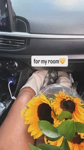 Sofia_Stanley sunflowers Foto