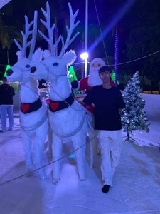 neitan_miller_Christmas图片