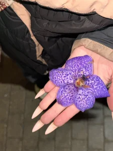 🩷🎀 de AmeliaFlares  Imagens