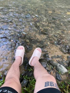 Dalton_s Free Poză 4