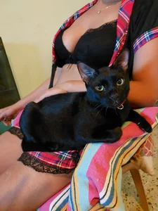 snwflk Sexy me зображення 4