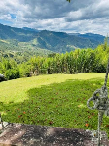 RoXy_MistX_JP I love the scenery and this delicious food slika 5