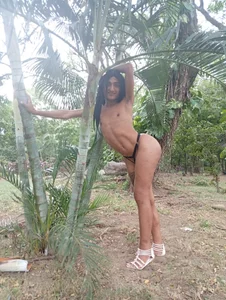 Trans-colombia's photo