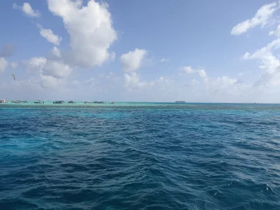 thecherry_Paulette kullanıcısının Dumb pics albümü -  2 fotoğraf