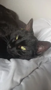 Public de chonkygoth Foto 4