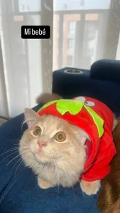 _AnaSofia_07 My pet🥰 slika 2