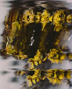 sorry-mom69 the history of flowers Εικόνα 3