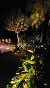 Heterobusca Public 圖片