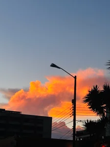 penelope_tay1 mee Pic