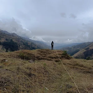 LoytderのNatureの 2枚の写真