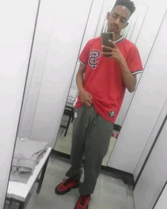 gemini_loopsPublic图片 2