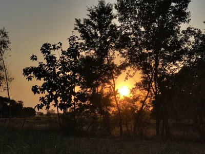 Tip menu de Uttarakhand1997 Foto