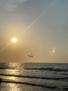 Nick_Jackson_ 🌊 зображення