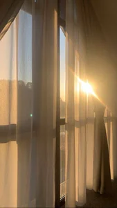 MerlinMeyer 🌷🌷🌷 รูป 