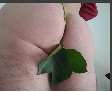 OlifessePublic图片 2