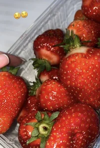 Var_Kiss Public Hình 4