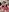 PrincesssSquirt's photo