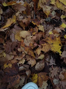 Zoe_addiction Moments captured 👉👈 Pic 7