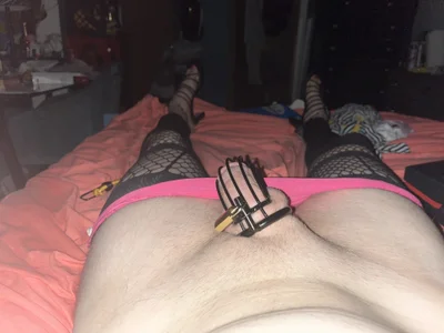 stuffspbug Public Pic 9
