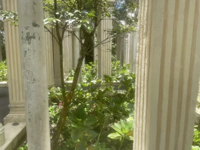 Randy9222Nature图片 5