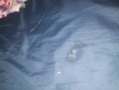 Satanatrix Public Immagine  7