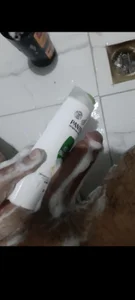 Sikici de Kurtsikici@xh  Imagens