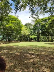 In my free time I enjoy nature 🍃🍂 od Im_miguel0  5 snímek