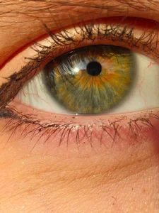 sofiapurexのLook into my Soul ✨の枚の写真