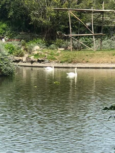 Candy_Sweetie_Have you ever been to Nha Trang?图片 4