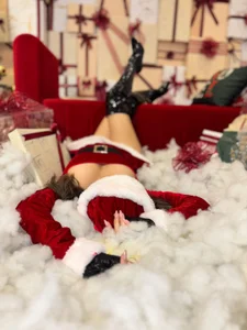 PaulinaSantos_Merry Christmas图片