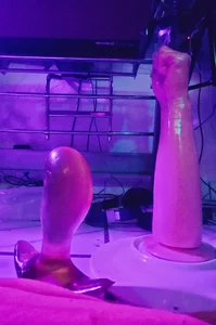 kinkstar5 Public Immagine  6