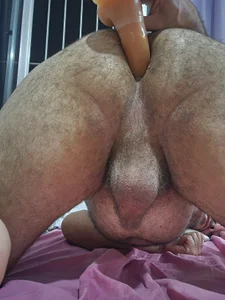 Ursosafado903 Public Pic 2