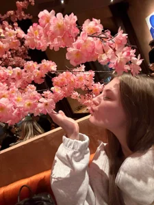 melsoft Public 圖片 3