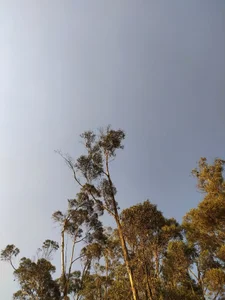 tekila__ I will leave you all the sunsets that I have witnessed, I hope you admire them like I do. Pic 6