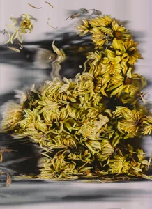 sorry-mom69 the history of flowers Foto 4