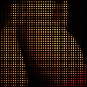 honeymannn Public Pic 3