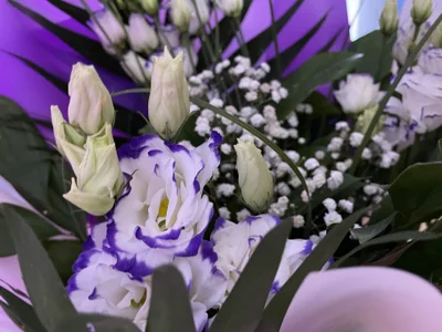 Kamila_icee Thank you, gentlemen♥️ slika 7