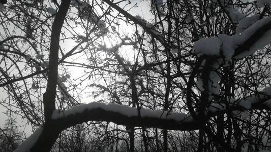 ExquisiteMature Winter Sun Poză 4