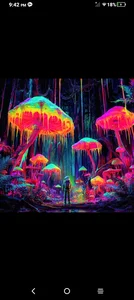 WiltedYeller Public รูป  8