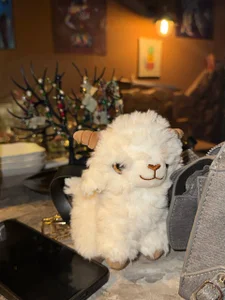 EIeniVanwartのsummerの枚の写真