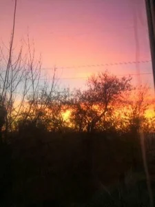 Manulenok Tata Pic 6
