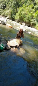 disfrutando de natally_ross21  Imagens