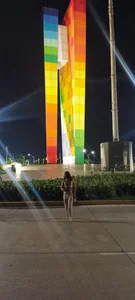 nairobbitsの🐓🐓🐓の 2枚の写真