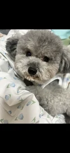 BaeBae11's bae Sex Photo 5