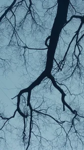 MimiYolaVi Public Pic 4