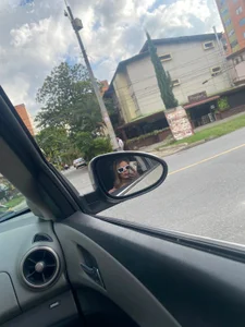 Ninakravis 🐸 Gambar 8