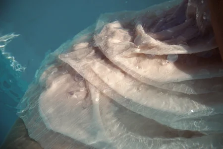 LolaWilsons Summer Poză 5