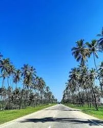 diieeg0o Paseo☀️🏝🏕 Billede