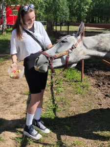 DolcezzaCream It's a special feeling when you pet a horse 🥰 Billede 2