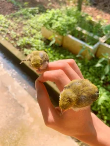 ju-zi8 – 4 голых XXX-фото